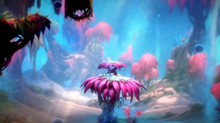 洛克王国悟空辅助如何更新？洛克王国悟空辅助怎么更新？